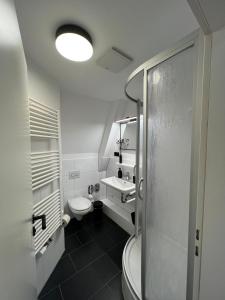 布克斯泰胡德Studiowohnung 6 in Buxtehude的浴室配有卫生间、盥洗盆和淋浴。