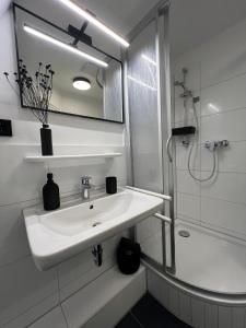 布克斯泰胡德Studiowohnung 6 in Buxtehude的白色的浴室设有水槽和淋浴。