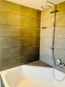 费尔达芬格Mansion Lake Starnberg的设有带浴缸和淋浴的浴室。