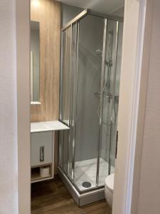 施韦青根噶尼奔驰别墅酒店的一间带卫生间的浴室内的玻璃淋浴间