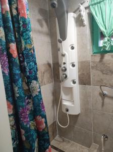 帕莱Vikedica Blagojević的带淋浴和浴帘的浴室