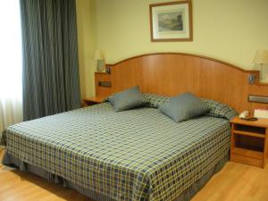 马德里马德里卡斯蒂拉斯二世酒店的一间卧室配有一张带 ⁇ 子毯子的床