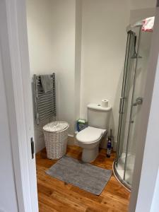 切舍姆Aspect apartments的一间带卫生间和淋浴的浴室
