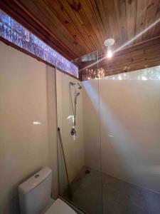 莫雷雷Casa Maiara (Eco friendly)的一间带卫生间和玻璃淋浴间的浴室