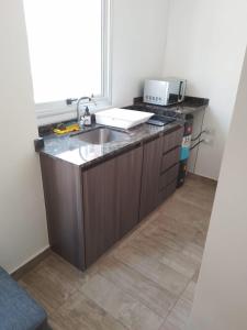 门多萨356 Apartments -的厨房配有水槽和台面上的微波炉