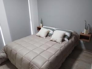 门多萨356 Apartments -的一张位于房间的床,上面有两个枕头