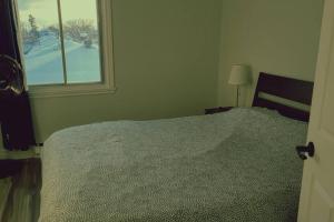 隆格伊Cozy 2BR in VieuxLongueuil +parking 14min Downtown的一间卧室设有一张床和一个窗口