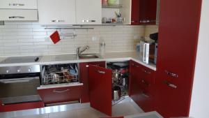 卡拉索斯Villa Lindos Star in Rodos with Private pool的厨房配有红色橱柜、水槽和洗碗机。