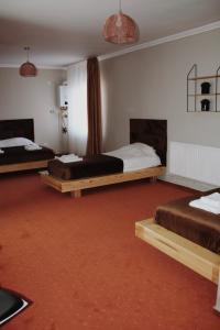 NăsăudPopasul Graniceresc的一间酒店客房,房间内设有两张床