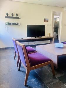 门多萨La Sofia Apart & Wines的客厅配有桌子和电视