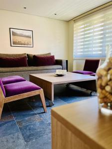 门多萨La Sofia Apart & Wines的带沙发和咖啡桌的客厅