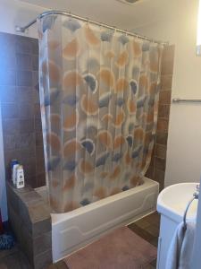 拉瓦尔Appartement près du Métro的浴室设有贝壳式淋浴帘