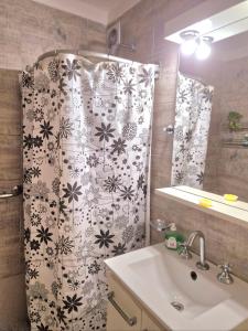 布宜诺斯艾利斯Centro de Buenos Aires的浴室配有淋浴帘和盥洗盆。