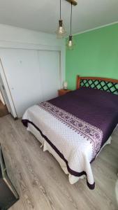 伊基克departamento Iquique的一间卧室配有一张带紫色和白色棉被的床