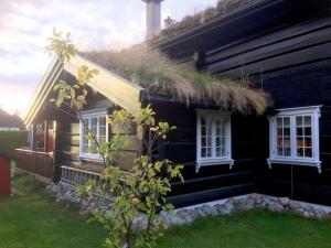 ÅsTømmerhus nær Tusenfryd utenfor Oslo.的一间黑色房子,设有草屋顶和两扇窗户