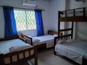 圣安特罗Olamar Hostal的客房设有三张双层床和一扇窗户。
