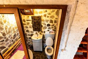 CărbuneştiCatunu’ lui Emil的一间带卫生间和水槽的小浴室