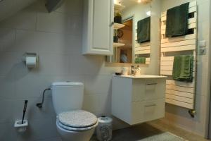 米卢斯DUPLEX SPACIEUX TOUT CONFORT的一间带卫生间和水槽的浴室