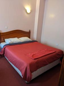 内罗毕Metro Hotel的一间卧室配有一张带红色毯子的床