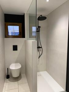 La Chapelle-aux-BoisLa Mansarde的一间带卫生间和玻璃淋浴间的浴室