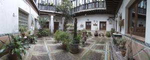 托莱多埃尔帕蒂奥德米卡萨公寓式酒店的建筑中种有盆栽植物的室内庭院