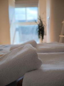 奥塞雅Ideal Parejas - Tranquilidad y naturaleza - Vistas al lago的房间里的一排白色的床