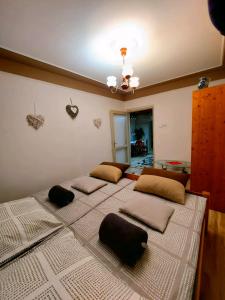 沙托劳尔尧乌伊海伊Kata Vendégház的一间卧室配有四张床和枕头。