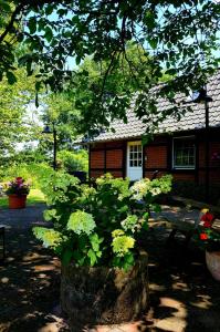 伦格里希明斯特兰德小屋旅馆的前面有长凳和鲜花的房子