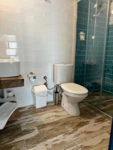 塞费里希萨尔Apelles Butik Otel的浴室配有卫生间、淋浴和盥洗盆。