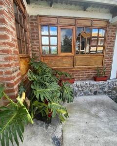 GuanoCabaña de campo Guano Ecuador的窗户前有植物的砖砌建筑