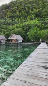 Pulau MansuarTerimakasih homestay的树上水体上的木桥
