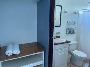 雅科Hotel Perico Azul & Surf Camp的白色的浴室设有水槽和卫生间。