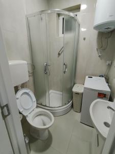 SurčinZoka的带淋浴、卫生间和盥洗盆的浴室