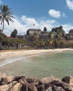 法兰西堡Kazacérola的棕榈树海滩和城堡的背景