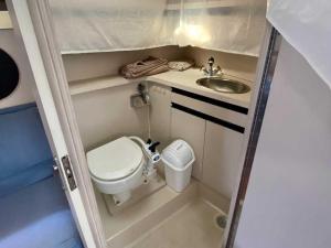 格吕桑Superbe bateau à Gruissan的一间带卫生间和水槽的小浴室