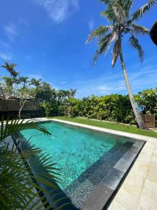 海神庙Villa Ocean的一座棕榈树环绕的游泳池