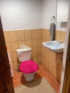 格拉纳达Apartamento Nilxon的一间带粉红色卫生间和盥洗盆的浴室