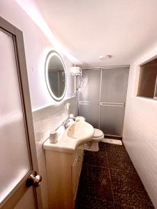 库斯科Blacky Hostel and Apartments的一间带水槽、卫生间和镜子的浴室