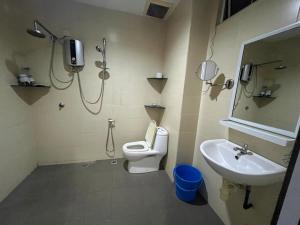 巴特沃思Mega Homestay的带淋浴、卫生间和盥洗盆的浴室