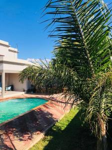 哈博罗内LOTUS LODGE的游泳池旁的棕榈树