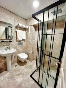 伊斯坦布尔奈拉酒店的浴室配有卫生间、盥洗盆和淋浴。