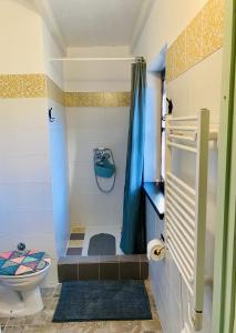 格罗日年Lucky Home - Apartment Art Grožnjan的浴室设有卫生间和蓝色的浴帘。