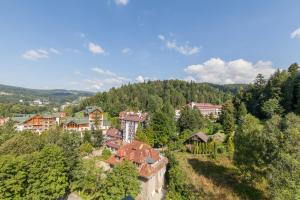 克雷尼察Silesia Krynica的森林中城镇的空中景观