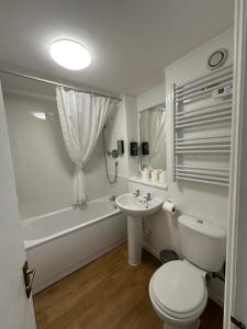 温德米尔温德米尔酒店的白色的浴室设有卫生间和水槽。