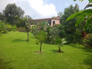 吉塞尼Rubavu Buy And Sell Ltd, real estate agency的一座房子前面的庭院,里面种有棕榈树