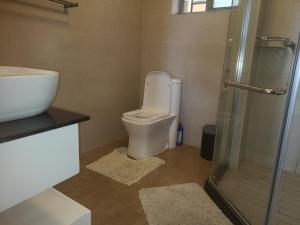 吉塞尼Rubavu Buy And Sell Ltd, real estate agency的浴室配有卫生间、盥洗盆和淋浴。