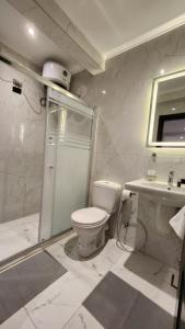 开罗赫利奥开罗酒店的浴室配有卫生间、淋浴和盥洗盆。