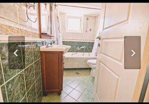 卡塔科隆Κatakolo Luxury Seaside House & Garden的浴室配有盥洗盆、卫生间和浴缸。