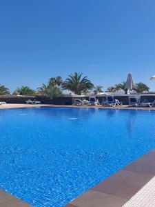 卡列罗港Hotel Costa Calero Thalasso & Spa的一个带椅子和棕榈树的大型蓝色游泳池