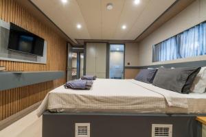 费特希耶Explorer Yacht的一间卧室配有一张大床和一台平面电视